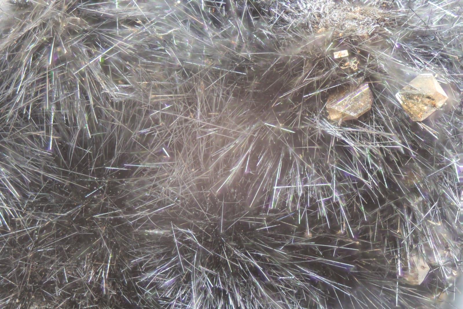 Woodruffite mineral