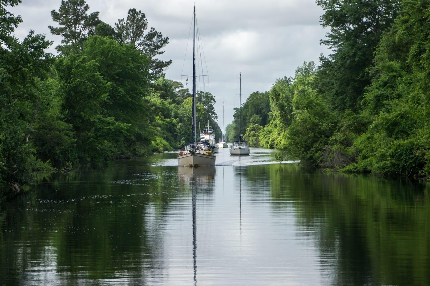 Dismal Swamp Traffic (7315898848) at Dismal Swamp, Elmore County, Idaho