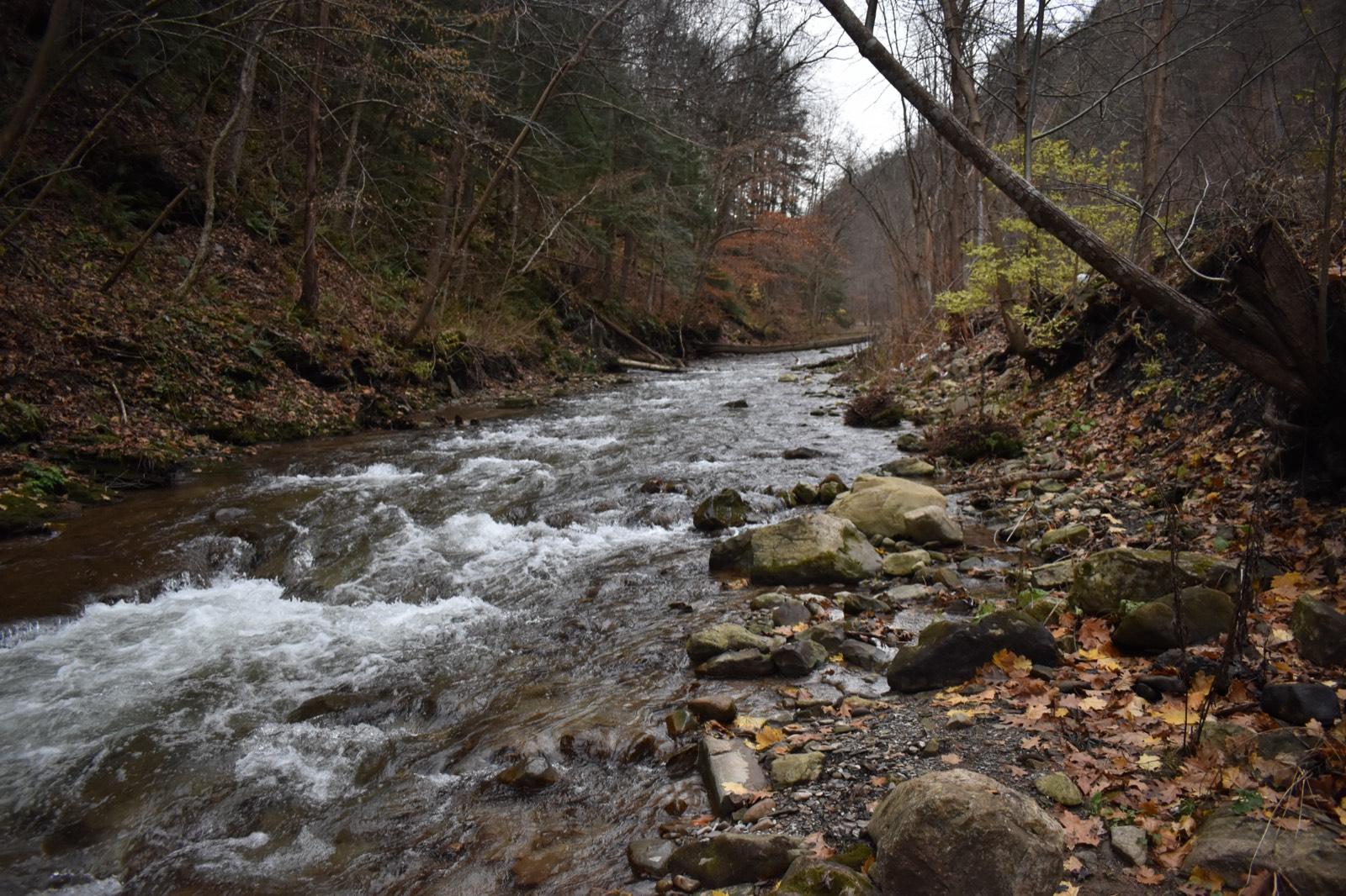 Steele Creek running through Ilion Gorge south of Ilion, Herkimer County, New York