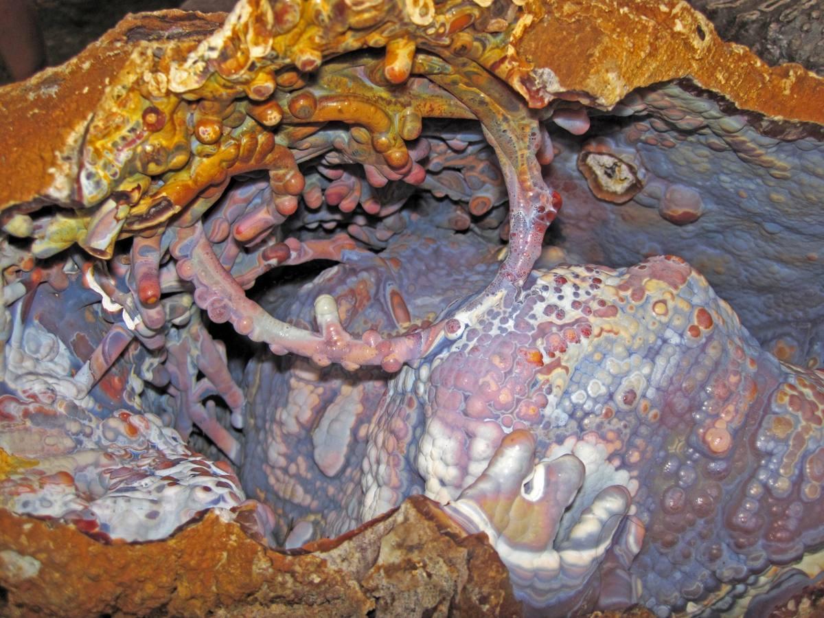Agatized Coral gemstone
