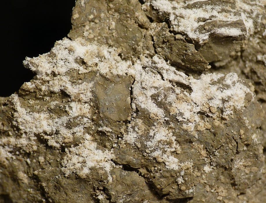 Brushite mineral