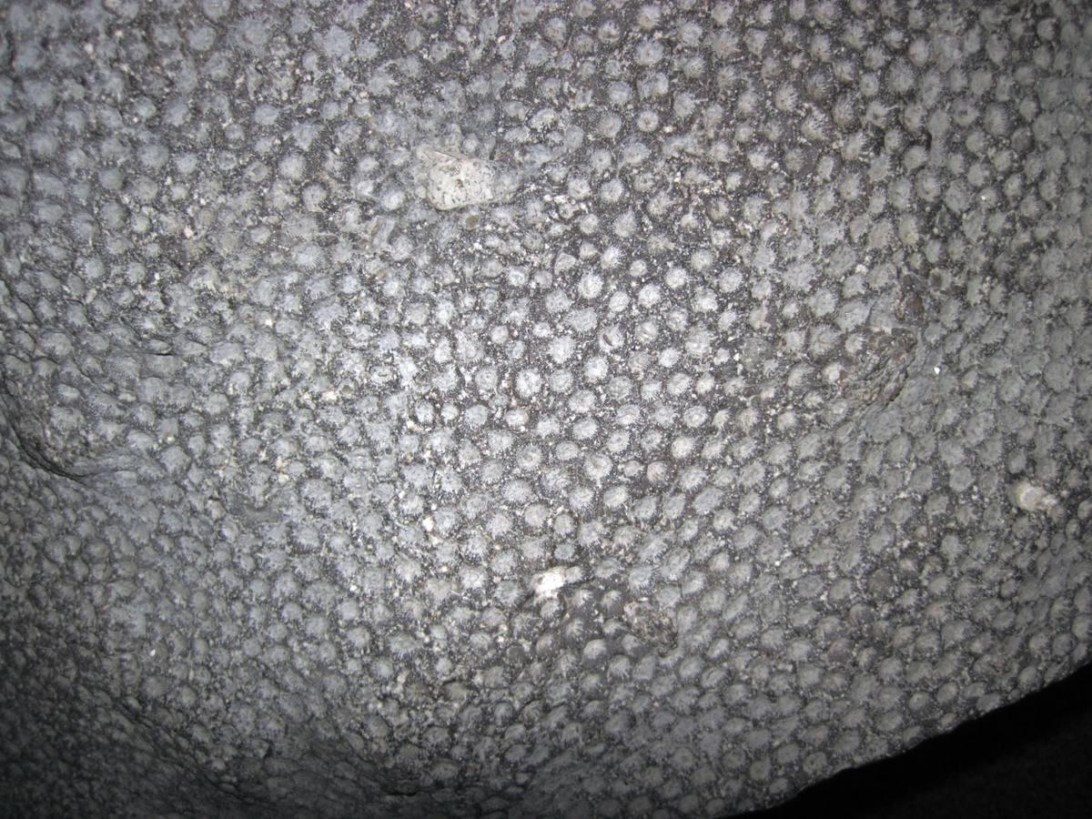 Charlevoix Stone gemstone