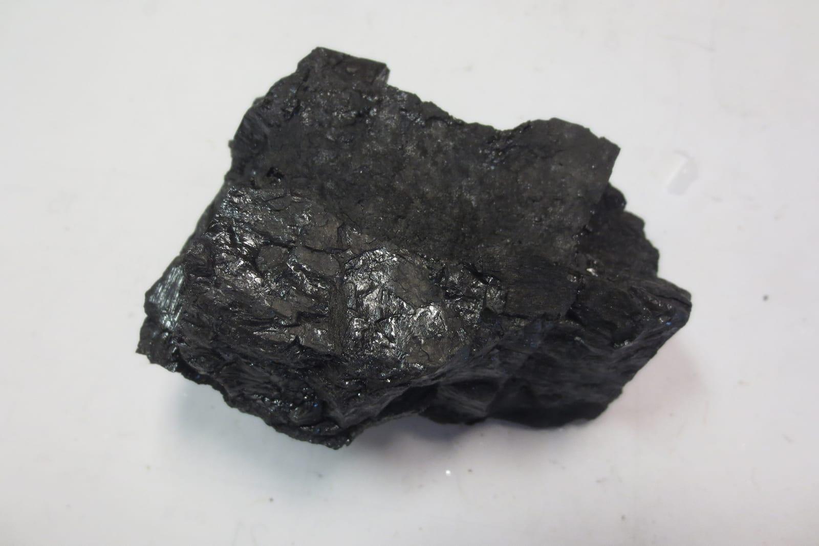 Coal sedimentary