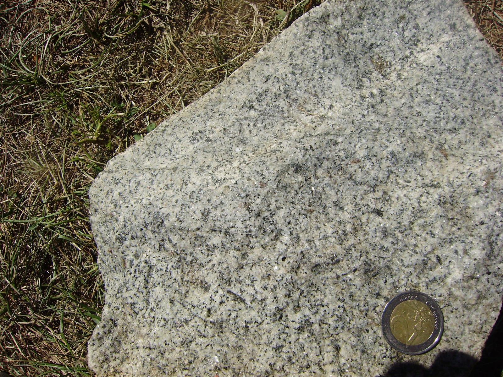 Granodiorite igneous