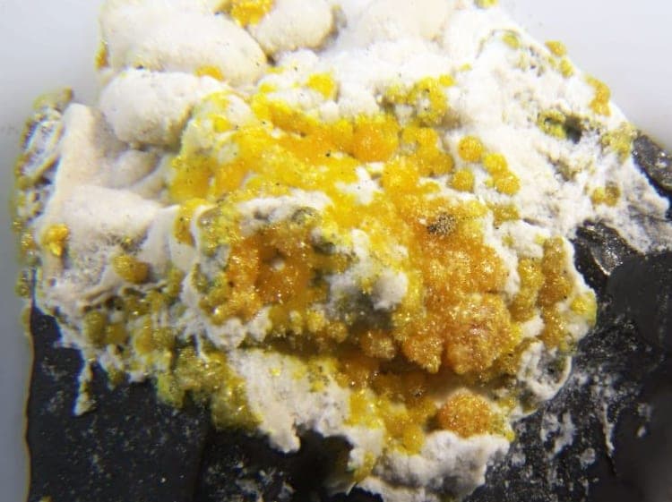 Hieratite mineral