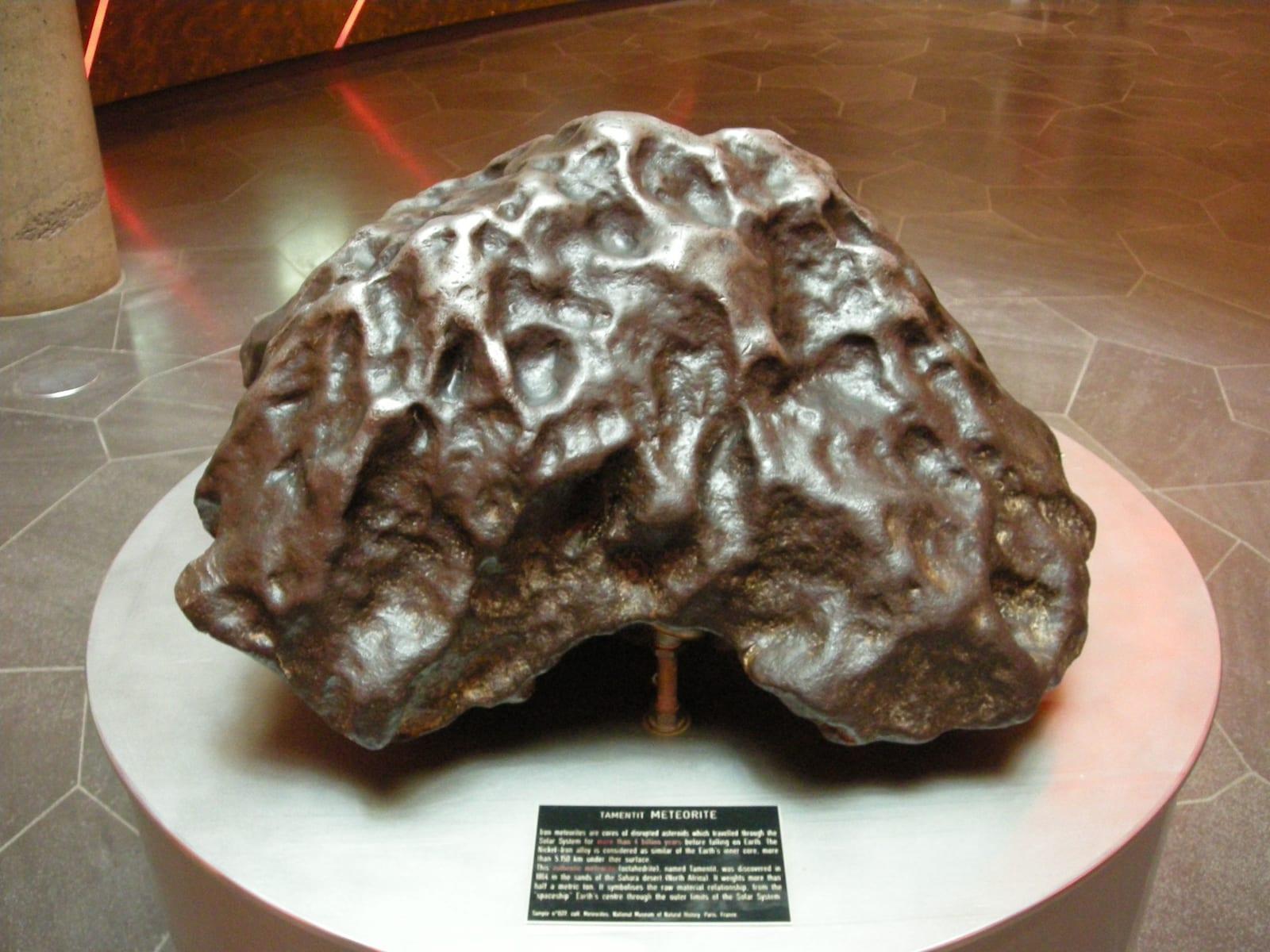 Iron Meteorite fossil