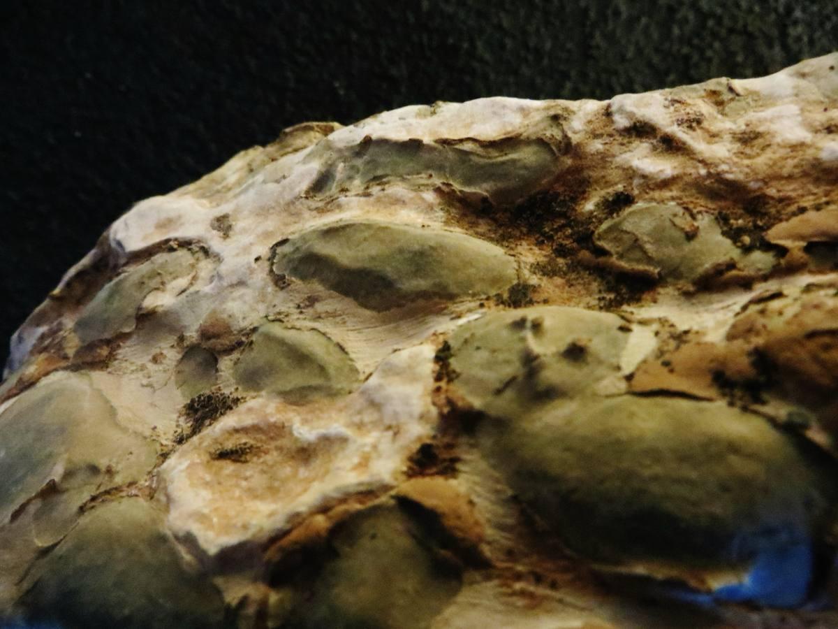 Kambaba Jasper gemstone