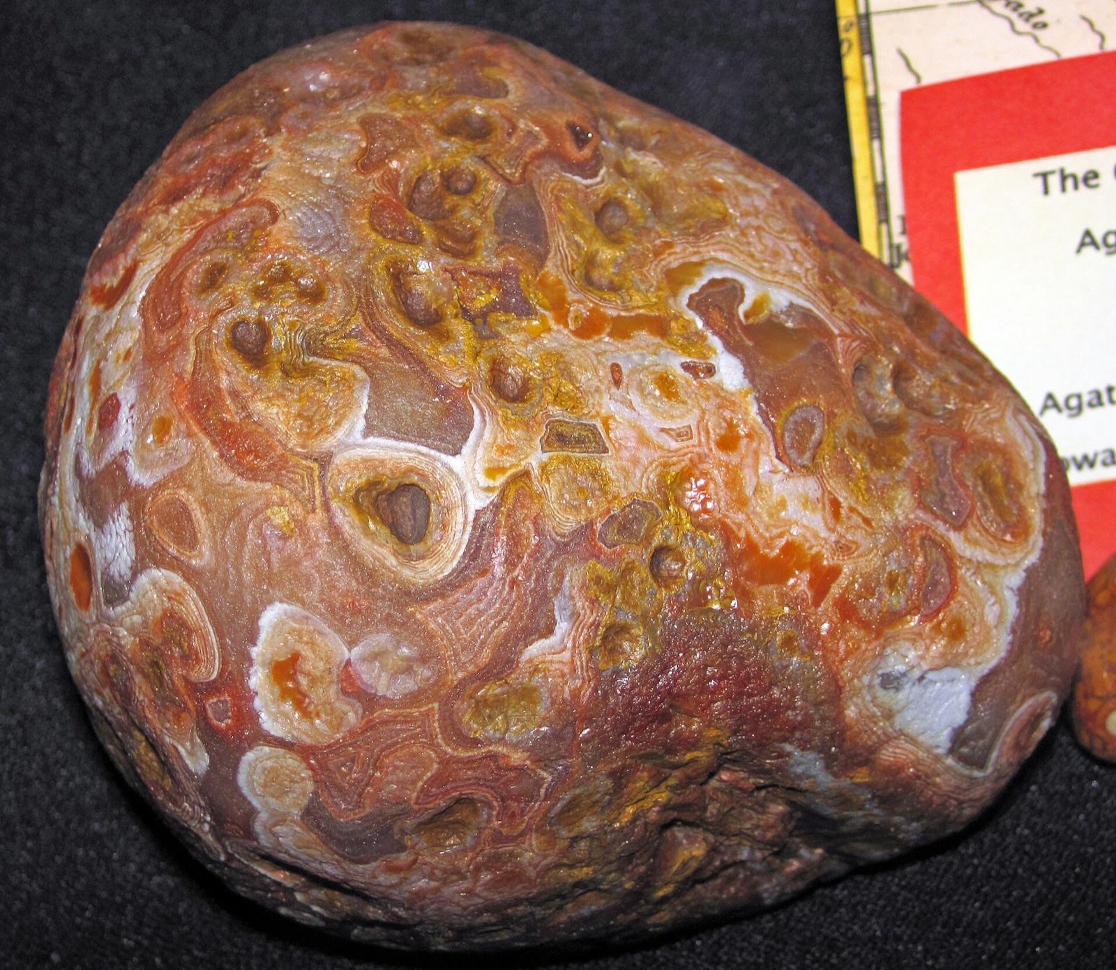 A whole Lake Superior agate nodule with its pitted natural skin, as it comes off the beach