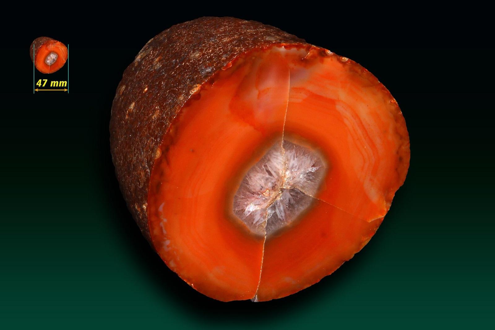 Lake Superior agate nodule with the rough exterior on one side and a cut face on the other