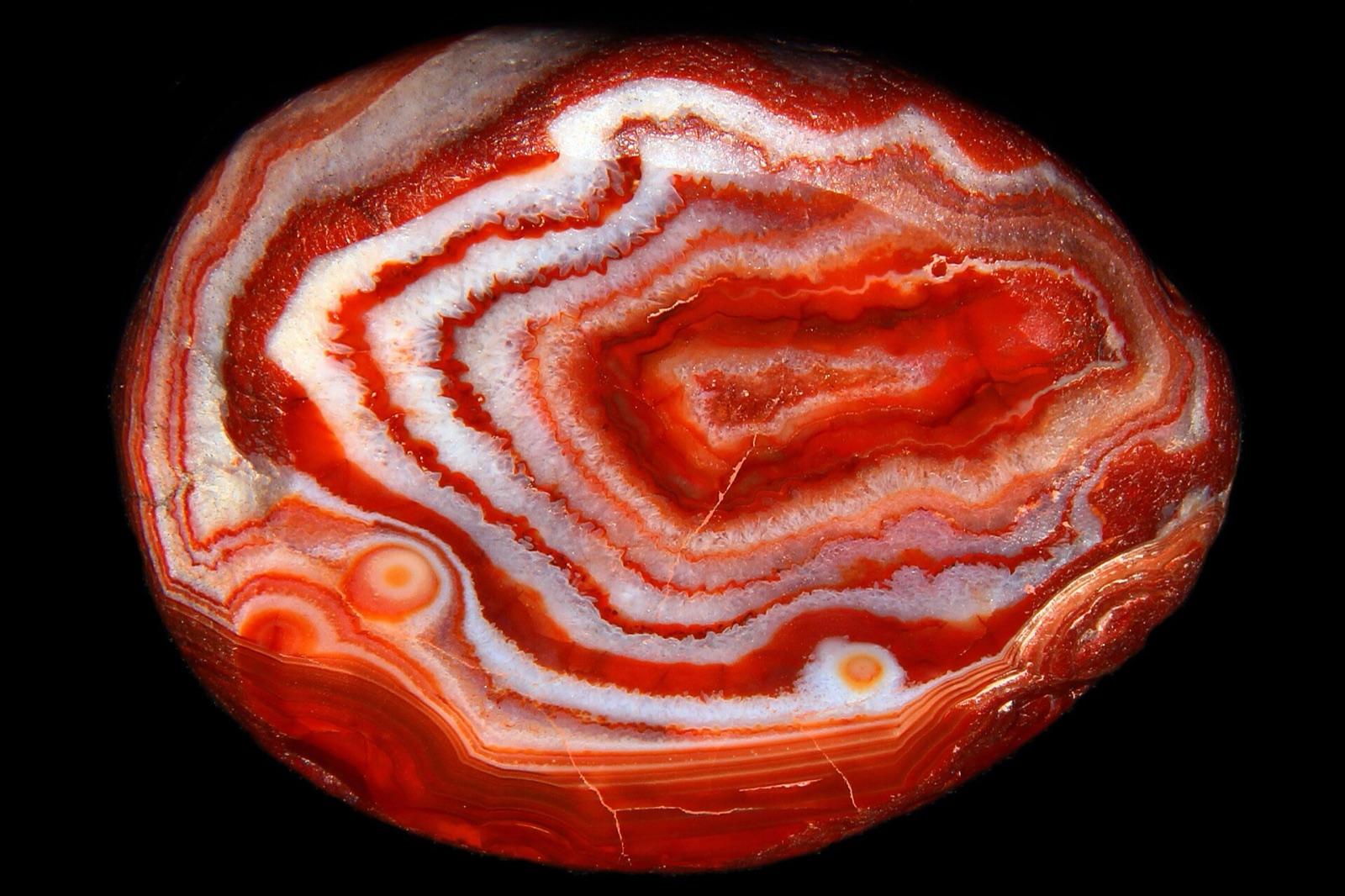 Cut and polished Lake Superior agate showing red and white fortification banding
