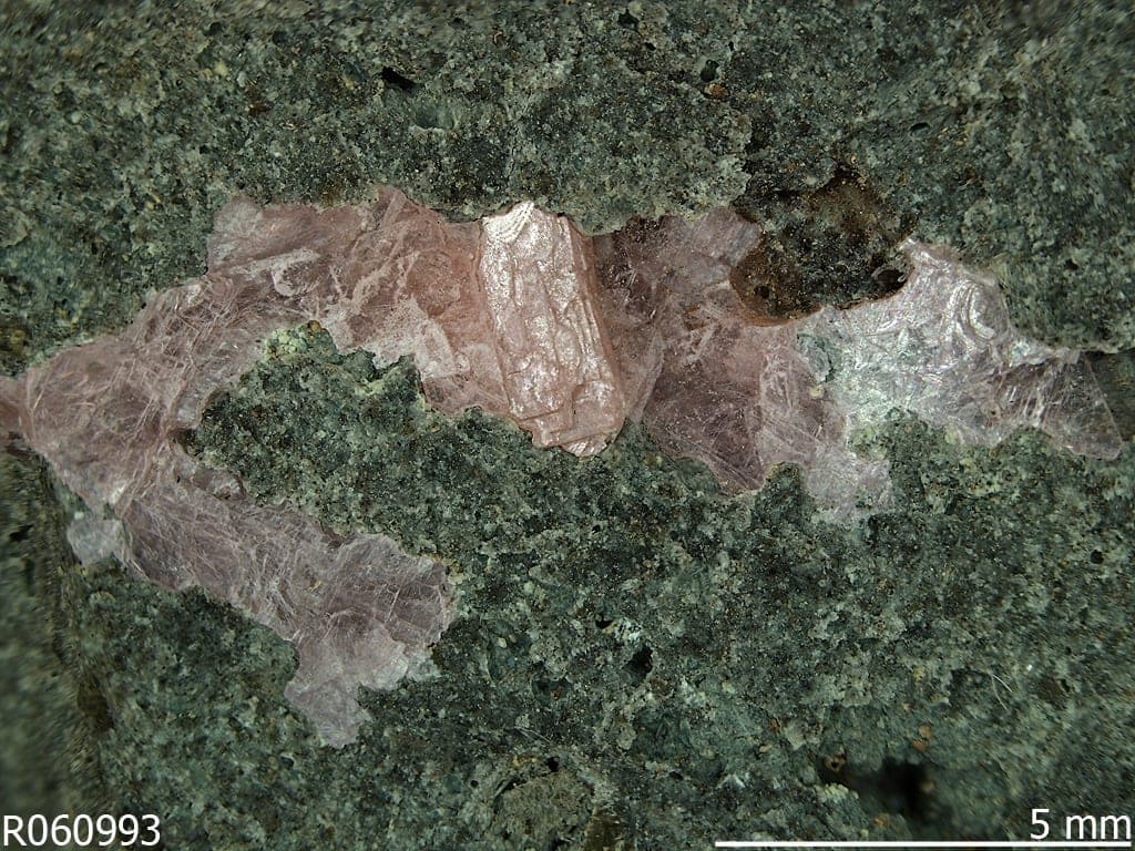 Lanthanite-(Nd) mineral — LanthaniteNd R060993 Sample Photo 10941 M