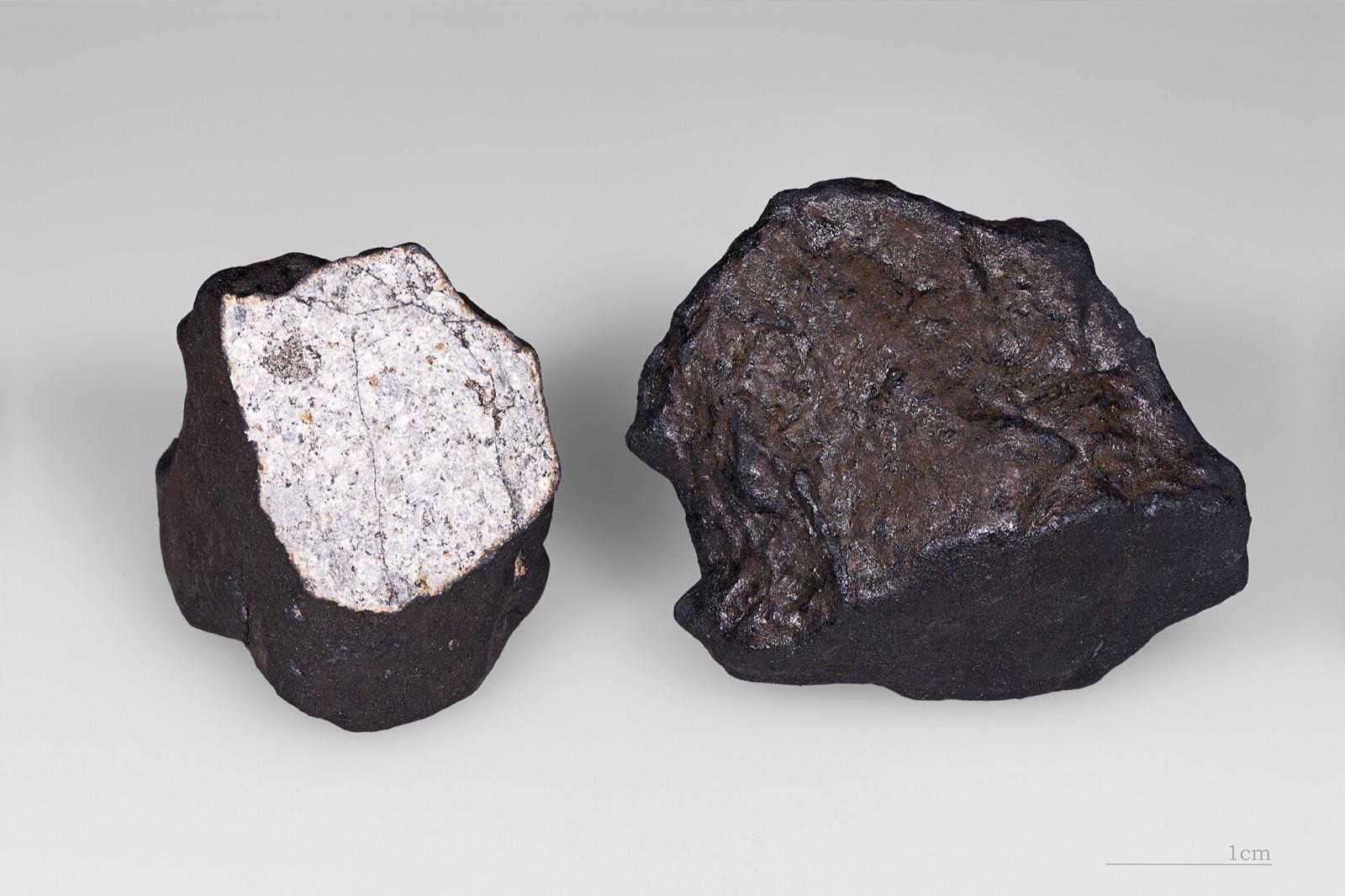 Two stony meteorite fragments showing black fusion crust over a pale interior