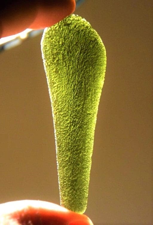 Moldavite mineral