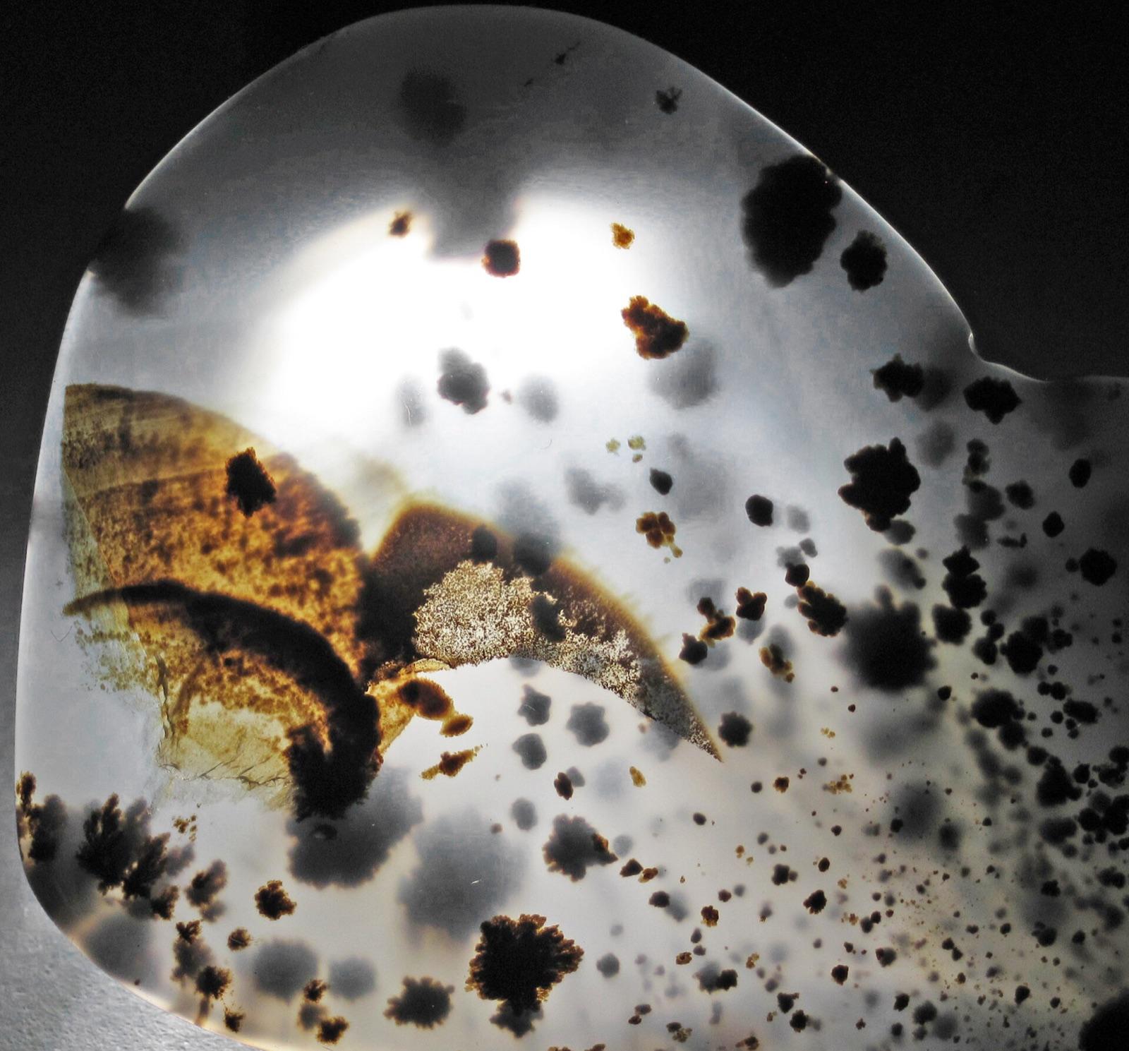 Montana moss agate with black dendrites and a brown plume in clear chalcedony