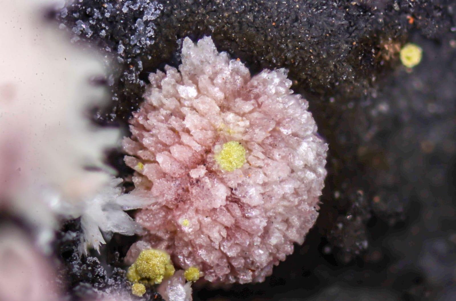 Montgomeryite mineral