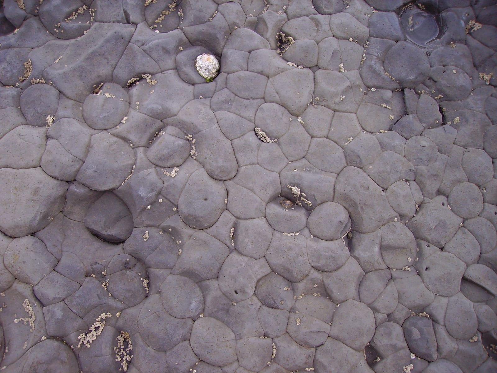 Mudstone sedimentary