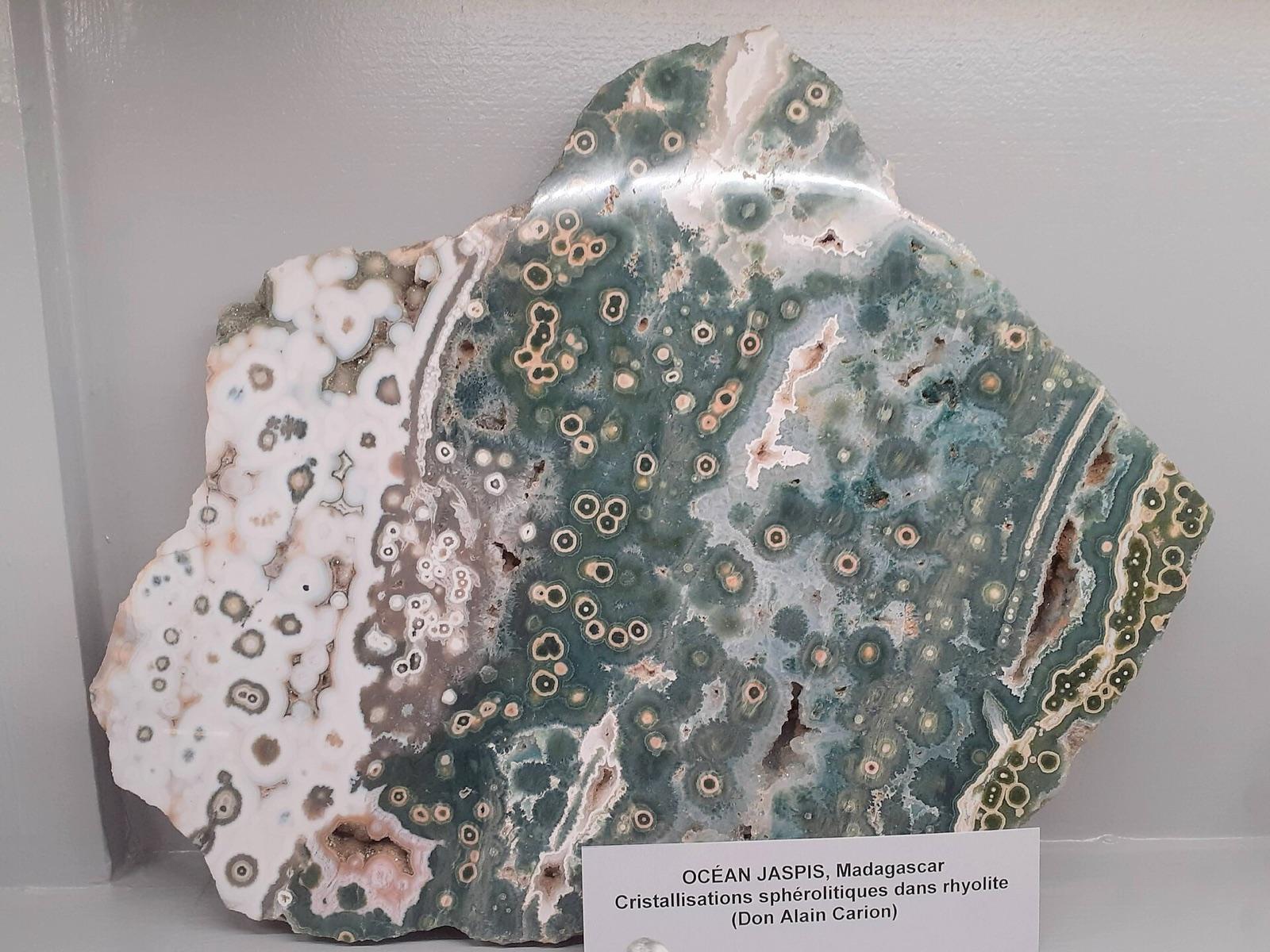Polished ocean jasper from Madagascar showing concentric orbs on a green ground
