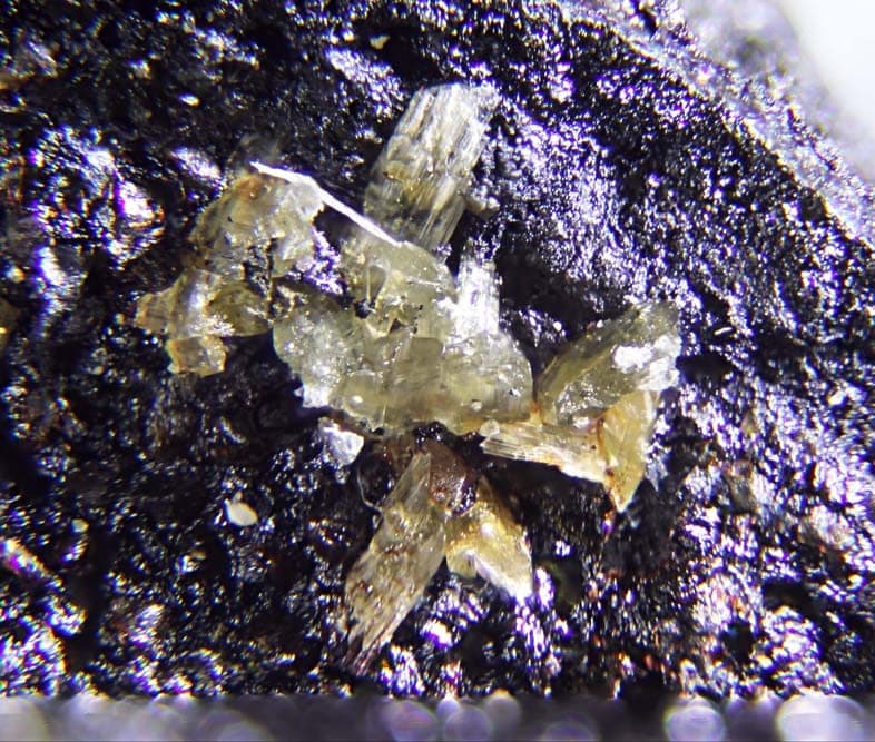 Paramontroseite mineral