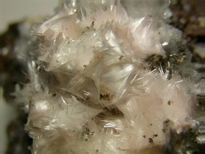 Pickeringite mineral