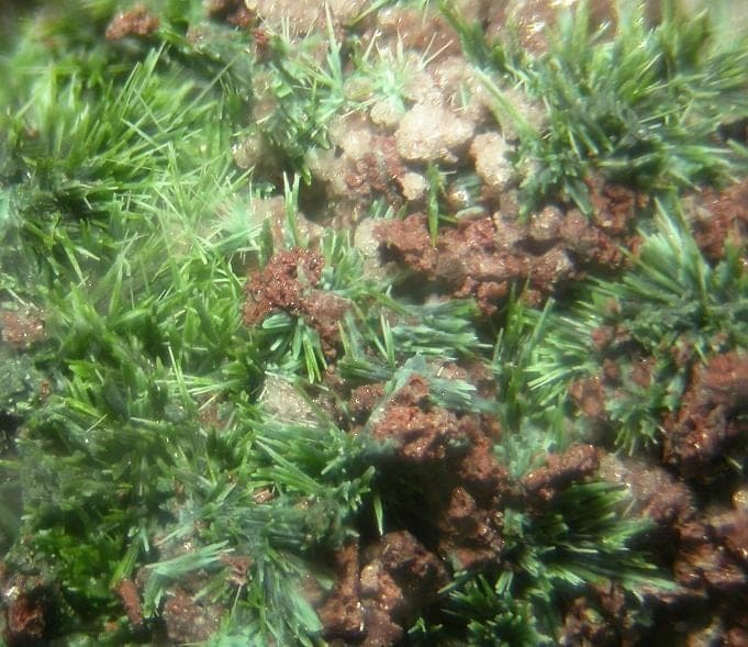 Piypite mineral
