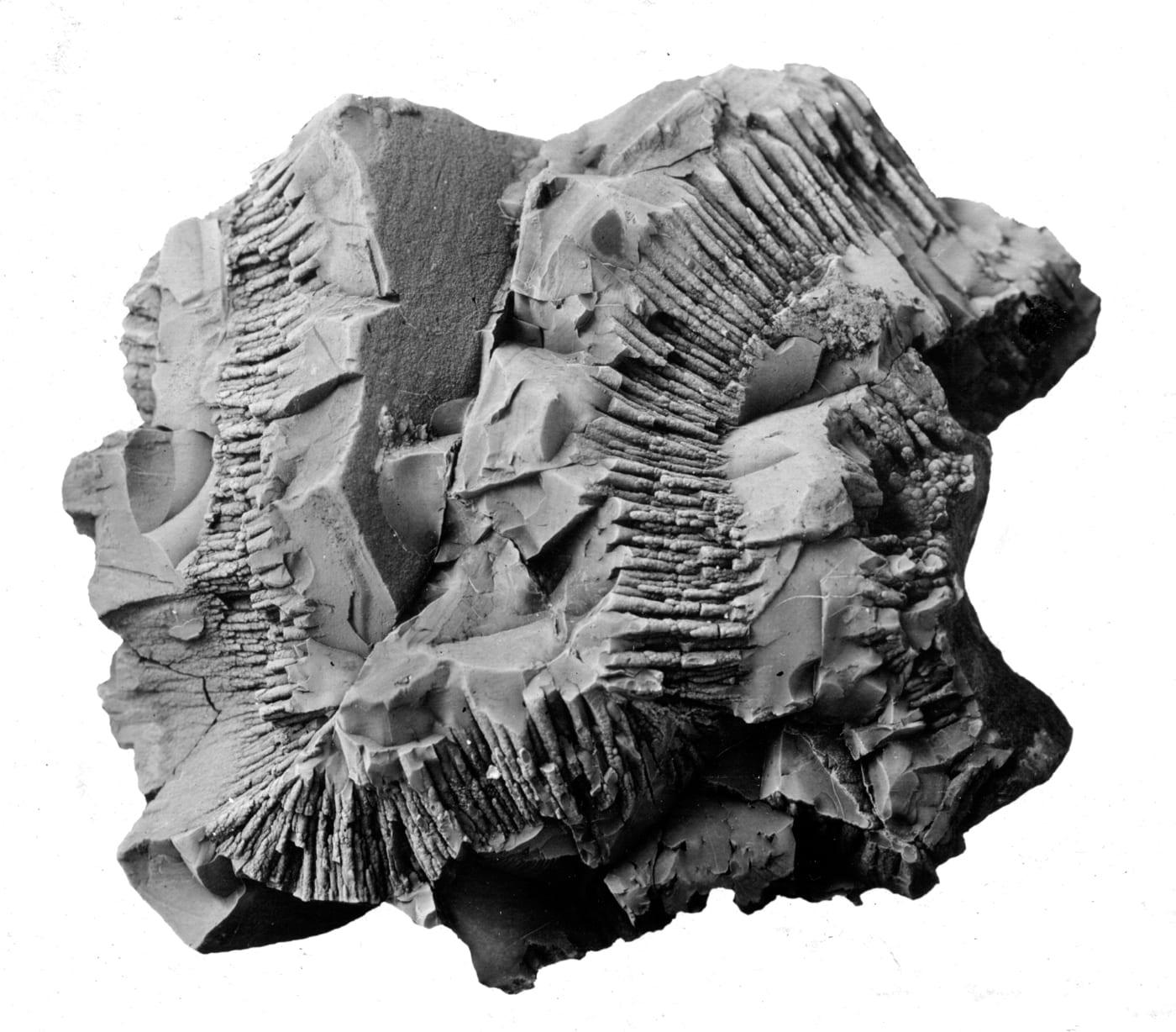 Pyrolusite mineral