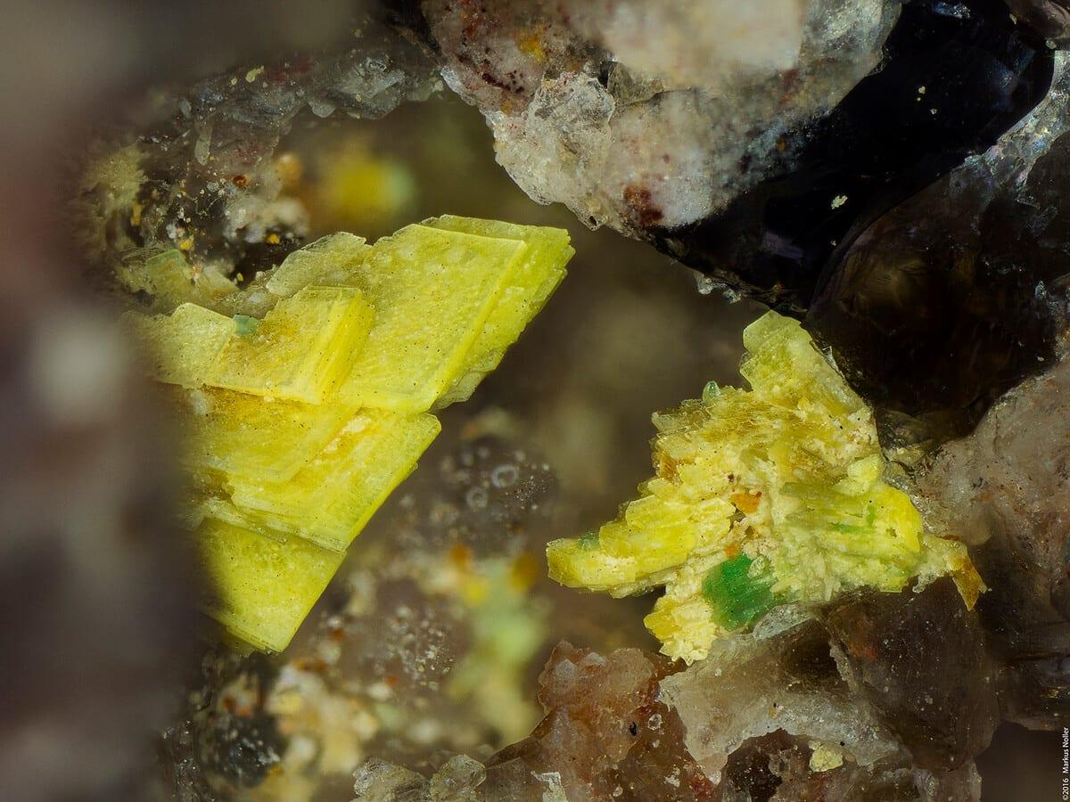 Rauchite mineral — Mineralatlas Lexikon Novacekit (english Version)