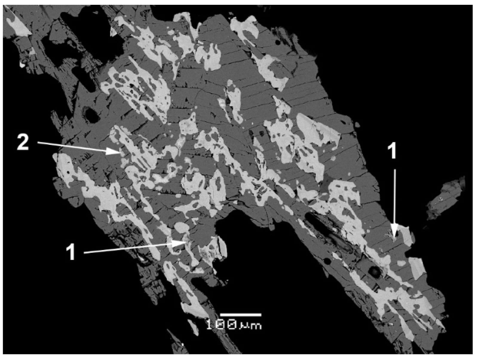 Rhabdoborite-(V) mineral — SEM image of udinaite, anhydrite, rhabdoborite (V) and tilasite