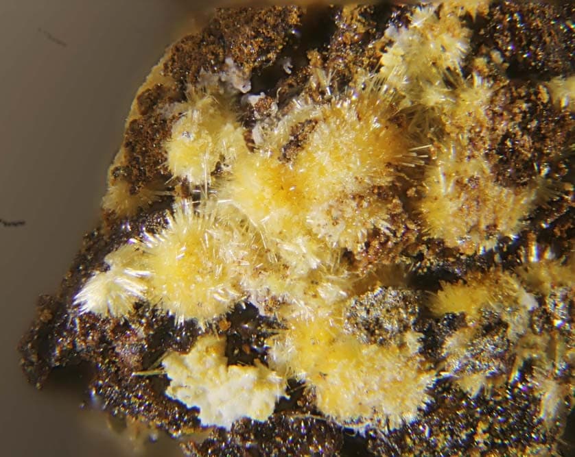 Sideronatrite mineral