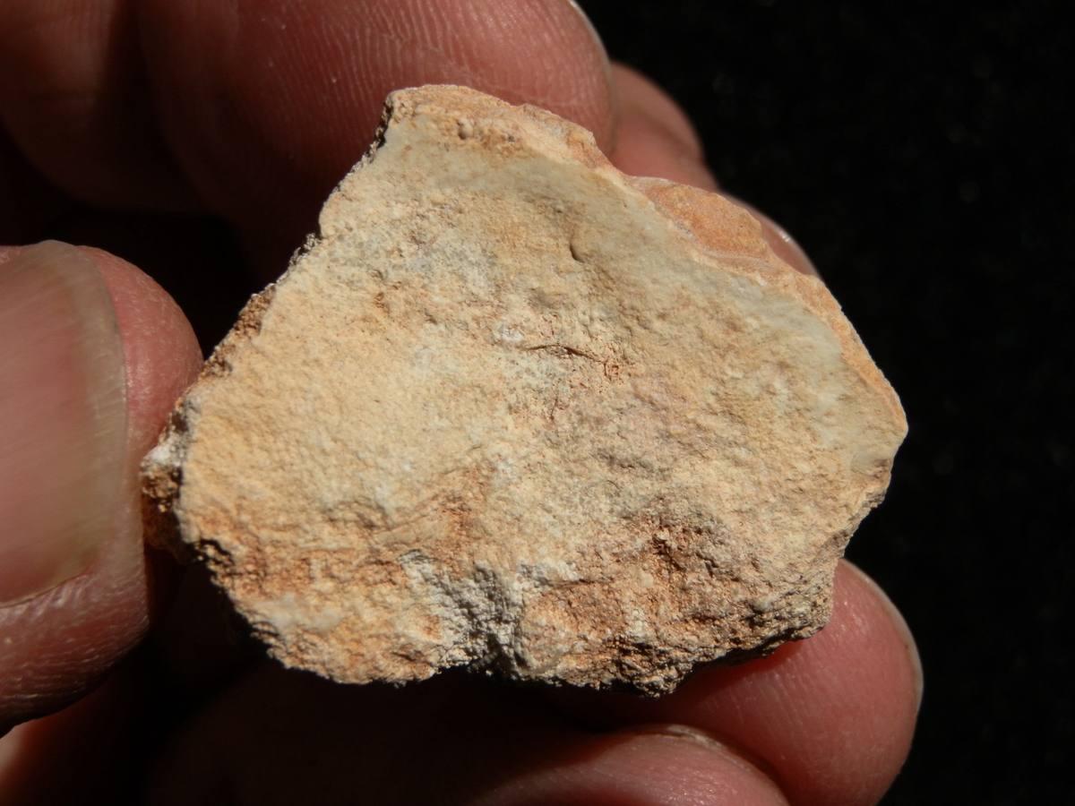 Siliceous Oolite gemstone