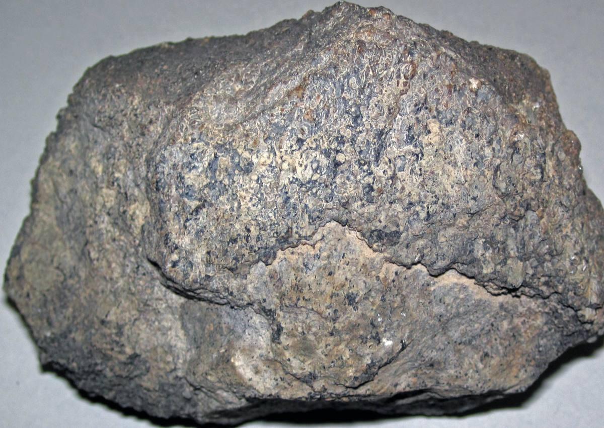 Silicified Dinosaur Bone gemstone