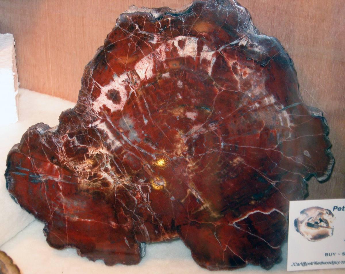 Silicified Pine Cones gemstone