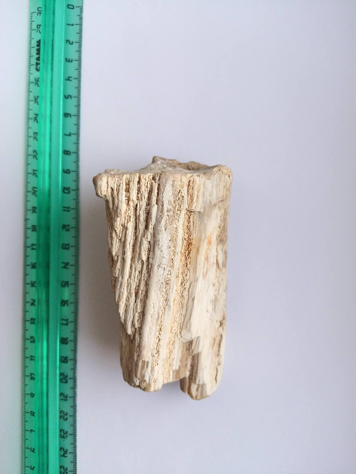 Silicified Wood gemstone