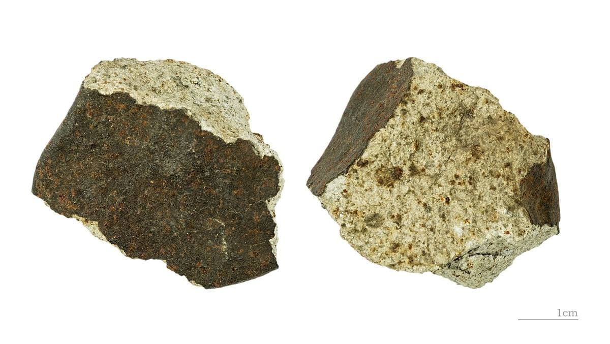 Stony Meteorite gemstone