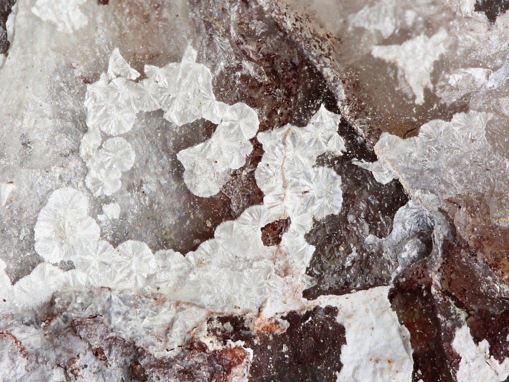 Tengerite-(Y) mineral — Tengerite (Y) 582842