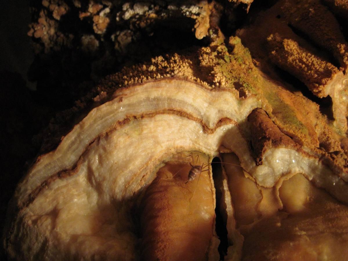 Travertine gemstone