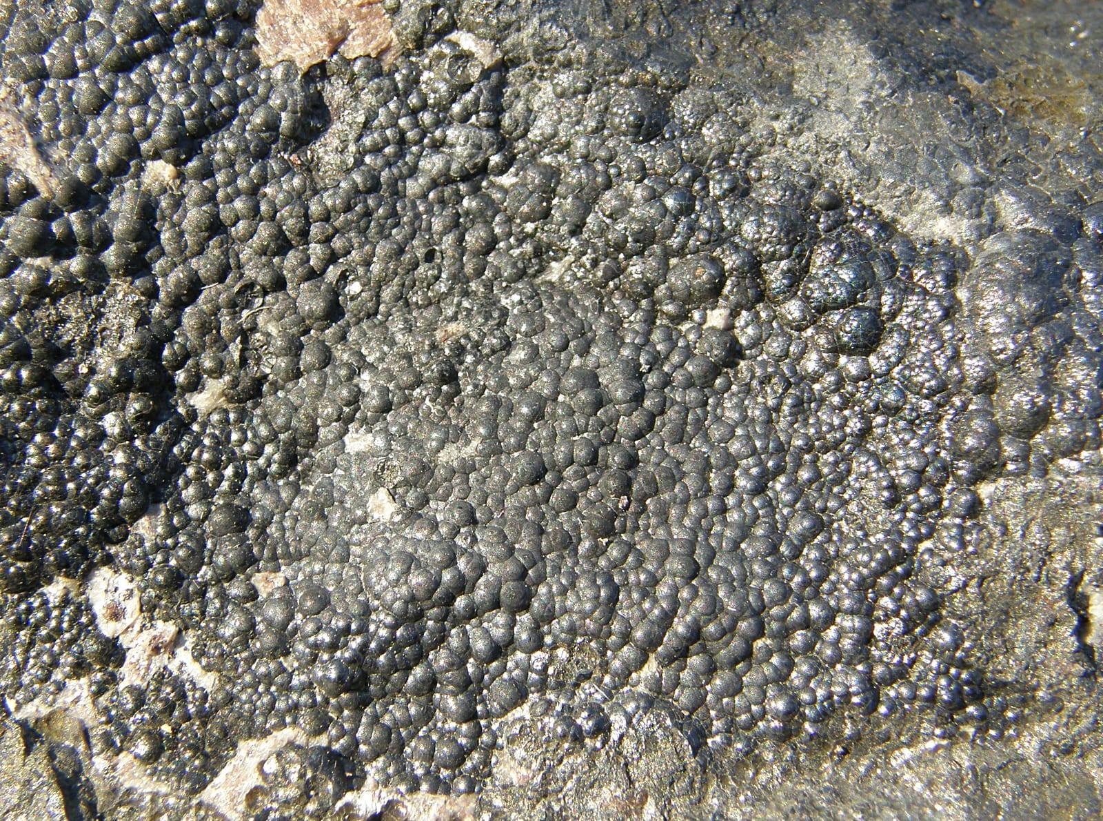 Uraninite mineral