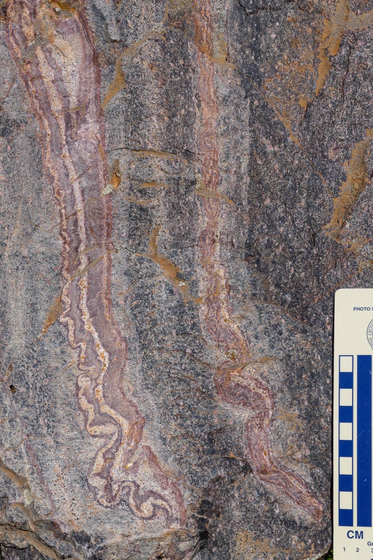 Wonderstone Rhyolite gemstone