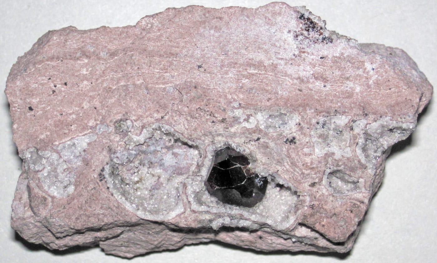 Garnet in rhyolite (Garnet Hill Rhyolite, Late Eocene, 36 37 Ma; Garnet Hill, White Pine County, Nevada, USA) at Garnet Hill, White Pine County, Nevada
