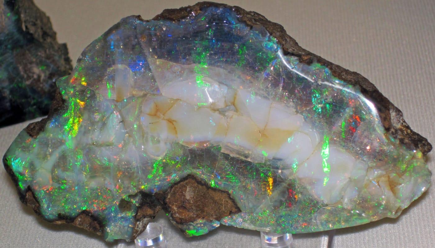 Precious opal (Virgin Valley Formation, Middle Miocene; Virgin Valley, northwestern Nevada, USA) 3 (33716036444) at Virgin Valley, Humboldt County, Nevada
