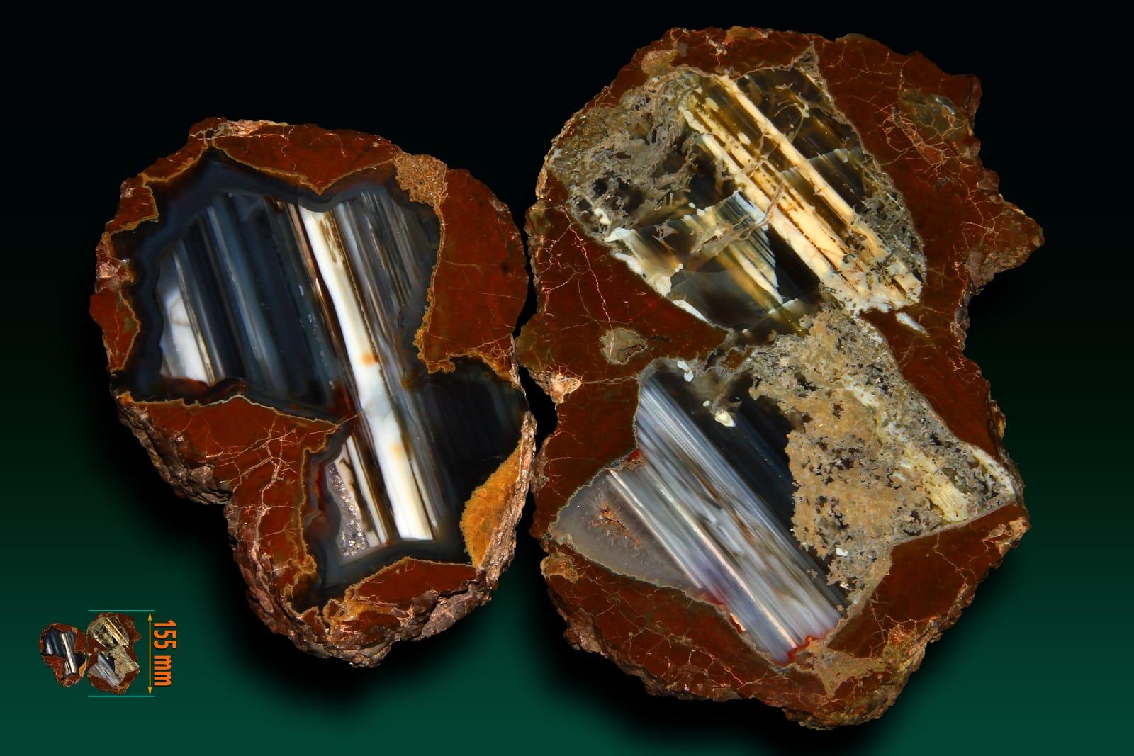 Agat Thunderegg x 2 Richardson Ranch (Priday Ranch), Madras, Jefferson Co at Richardson's Rock Ranch, Jefferson County, Oregon