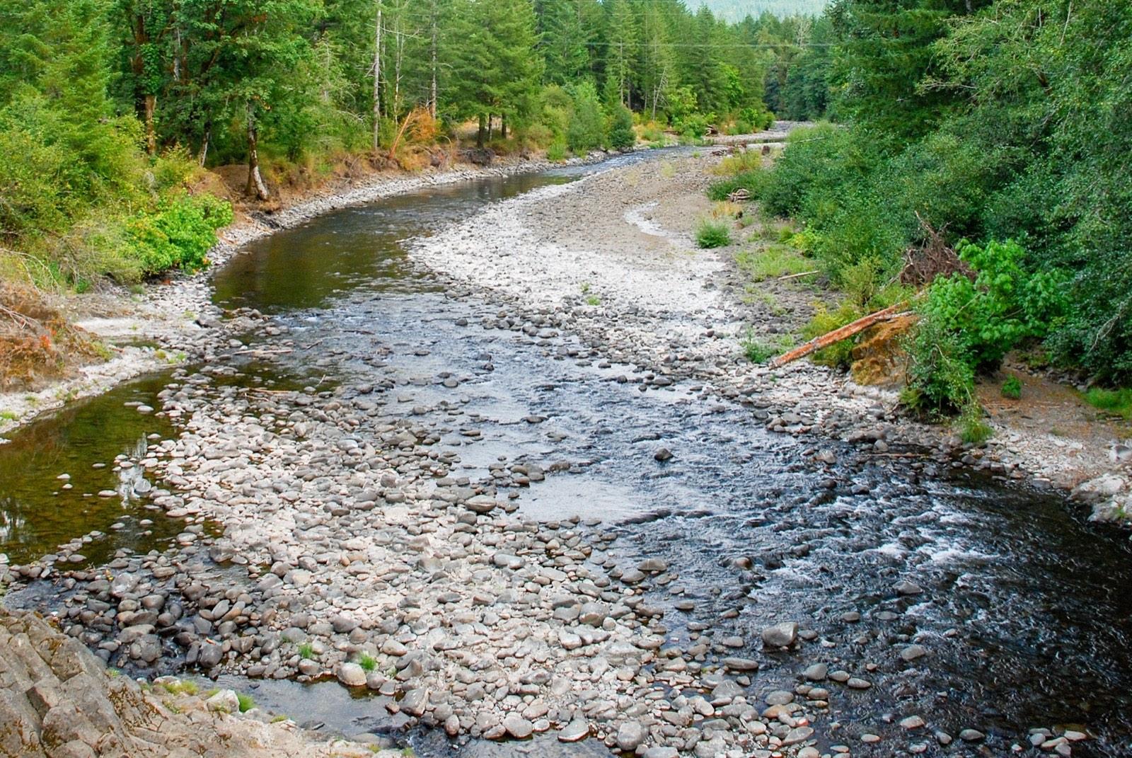 Exposed gravel bars along the Wilson River near the Tillamook Forest Center, Tillamook County, Oregon