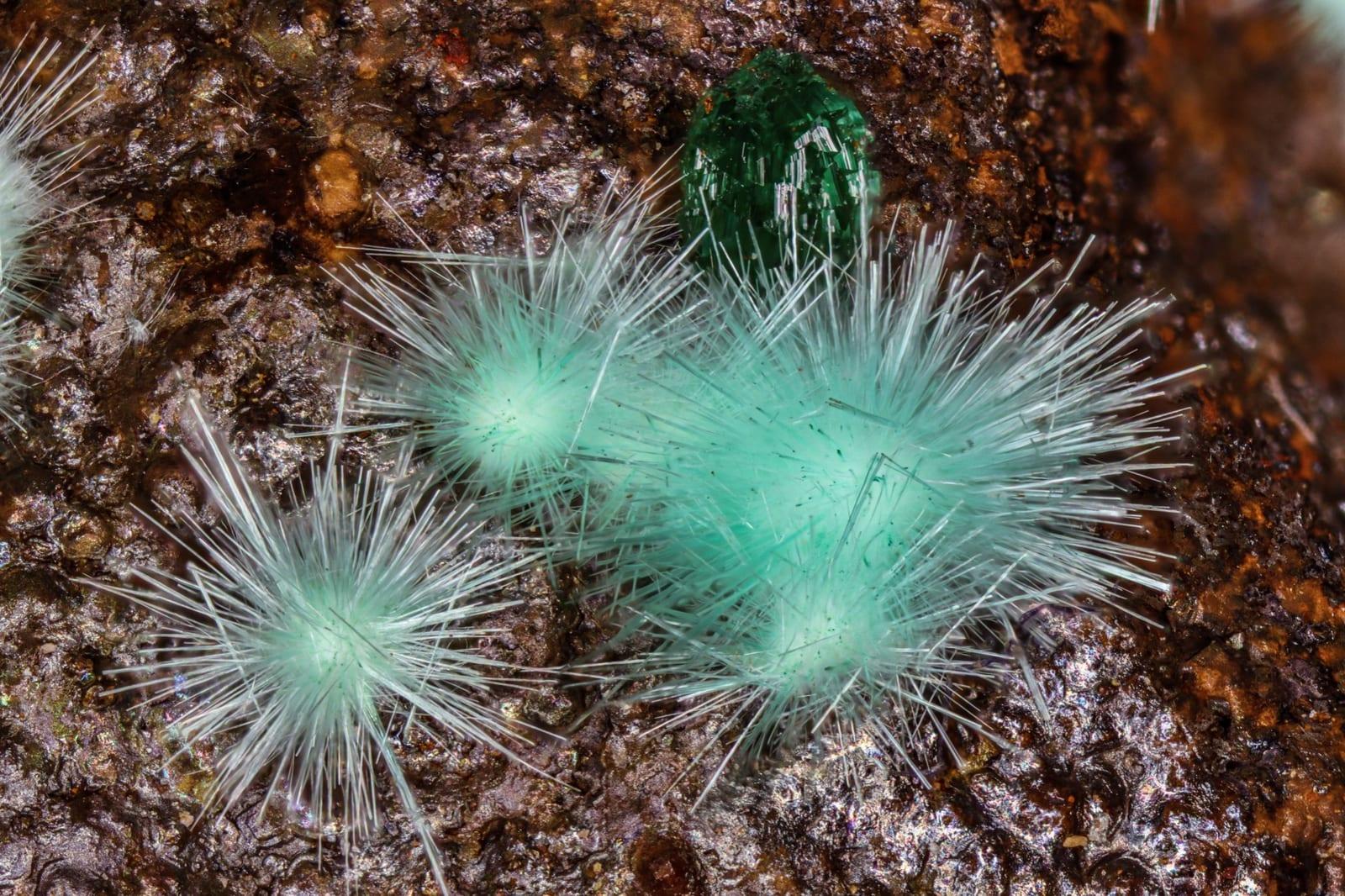 Agardite-(Nd) mineral