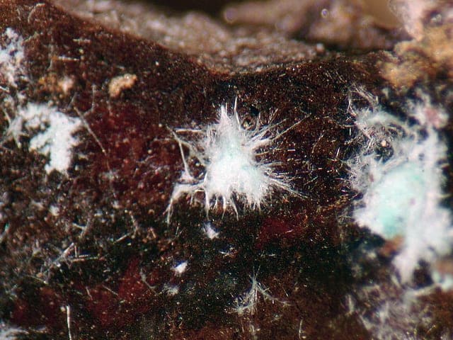 Agardite-(Y) mineral
