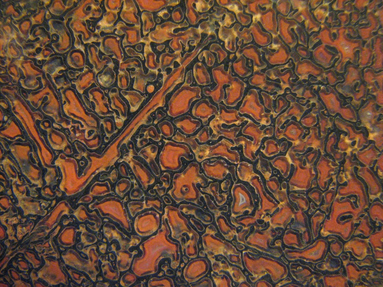 Agatized Dinosaur Bone specimen - Dinosaur bone jewelry   14