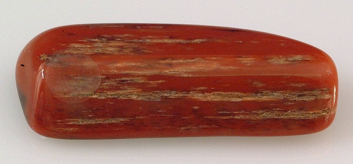 Tumble-polished jasperized wood