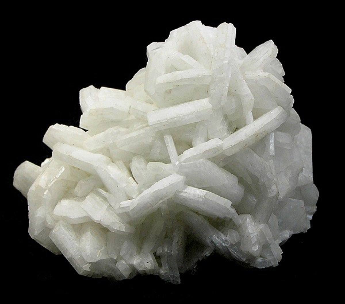 Snow-white bladed albite rosette, the cleavelandite habit