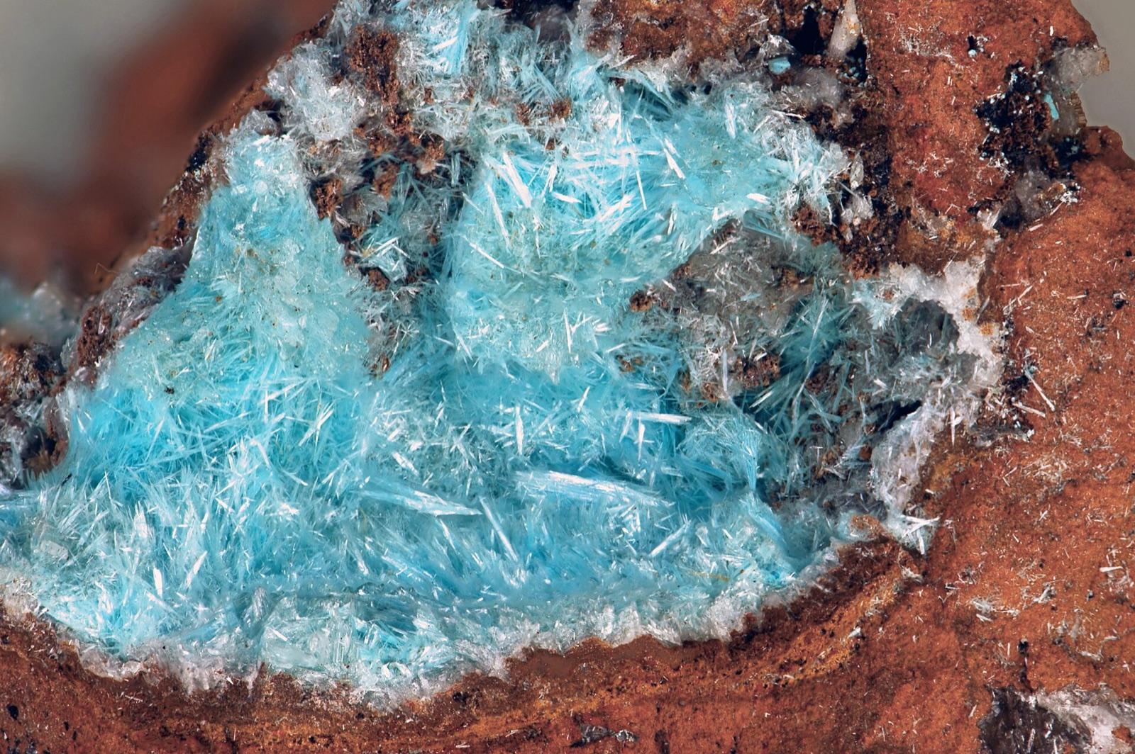 Sky-blue acicular aurichalcite tufts from the Ojuela Mine, Durango, Mexico
