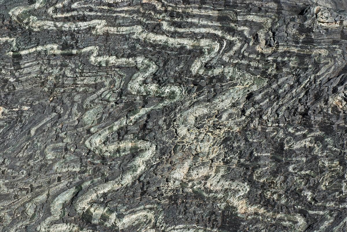 Folded serpentinite showing light and dark banding, Tuxer Alps, Austria