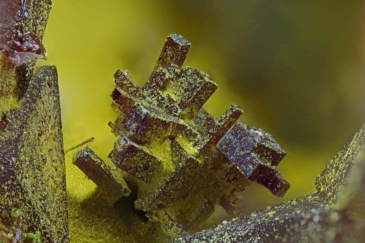 Beaverite-(Cu) mineral