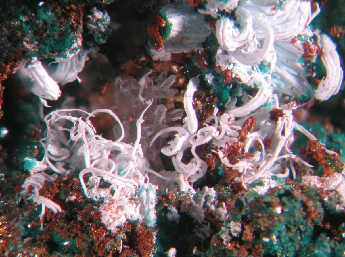 Bianchite mineral